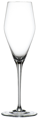 Large hybrid champagne 2 bokala spiegelau 1531669128